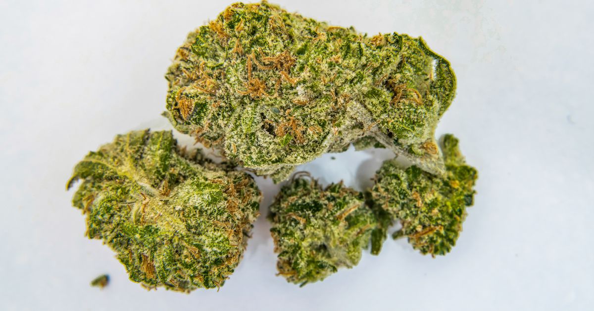The Battle of Buds: Small Nugs vs Big Nugs – Which Packs More Punch?